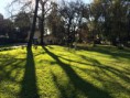 /album/fotos-del-viso/la-foto-8-jpg2/